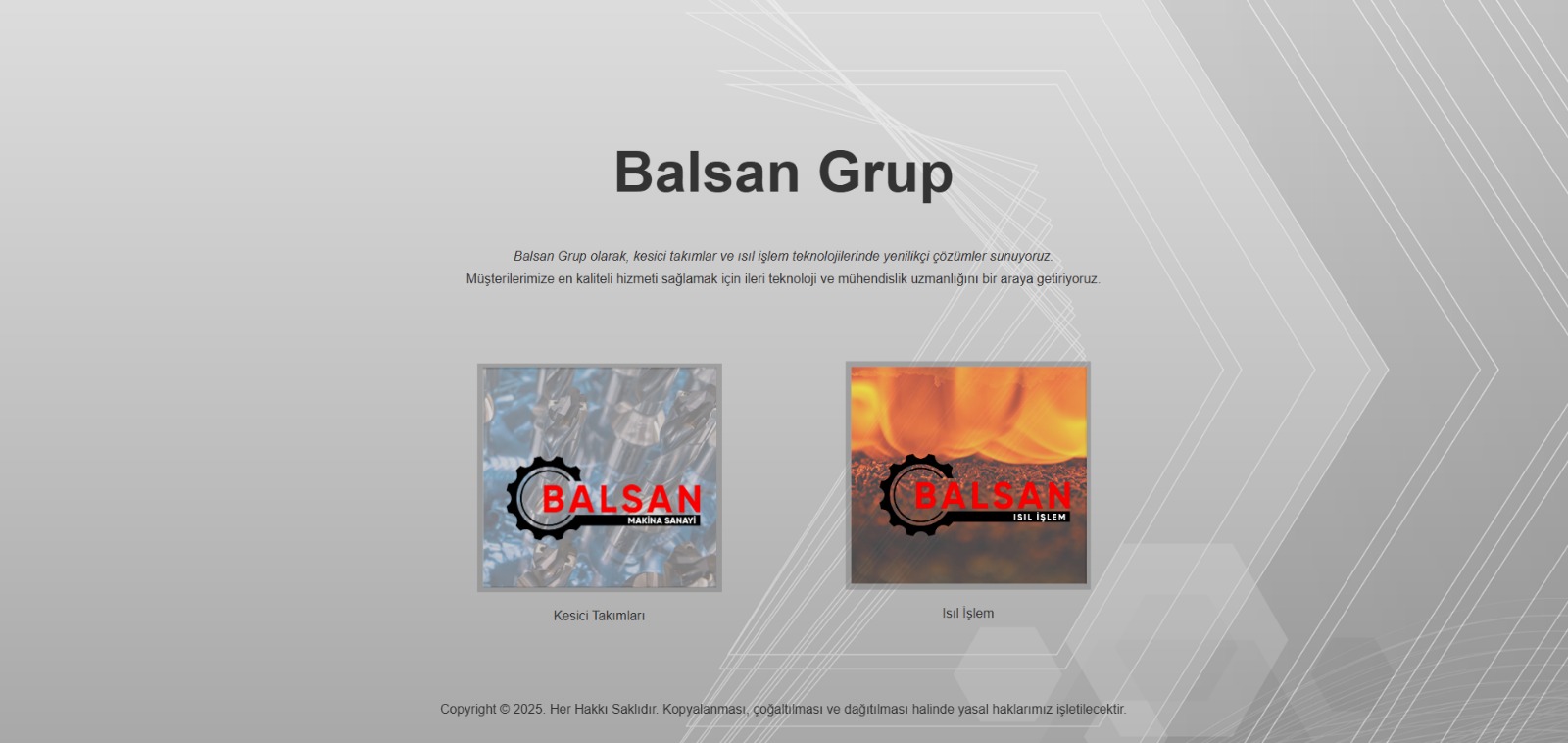 balsan.com.tr