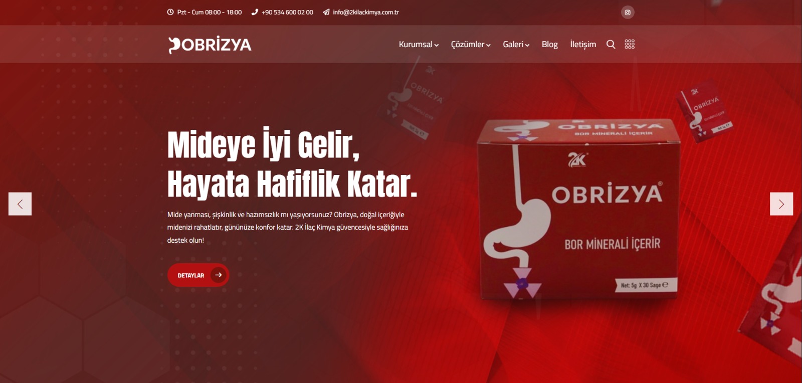obrizya.com